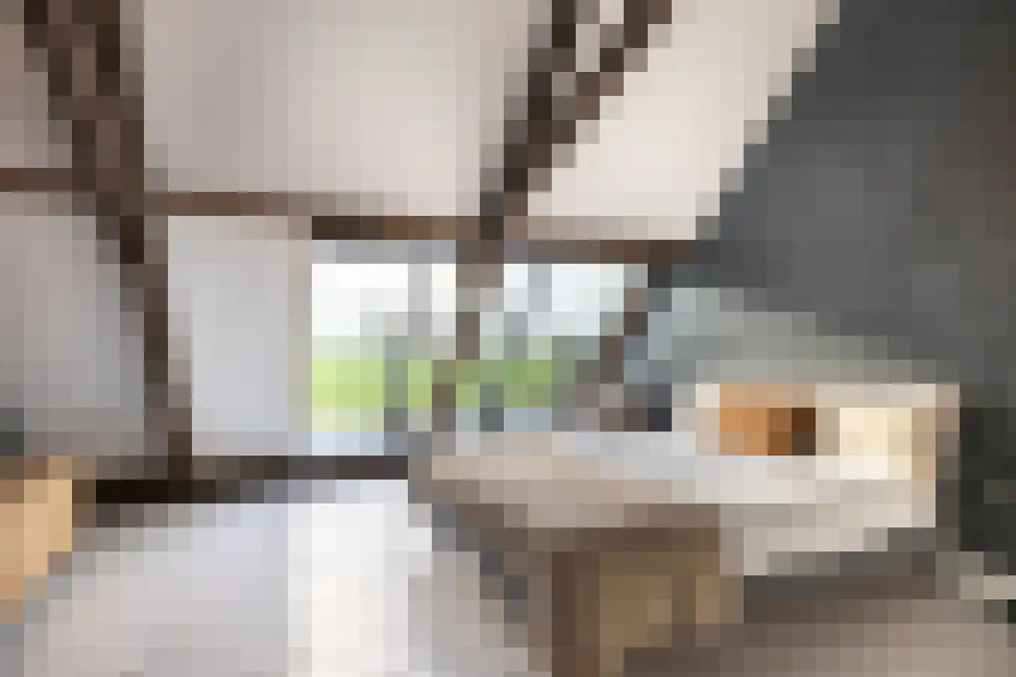 Rijksweg 4 B Herbaijum thumbnail 41