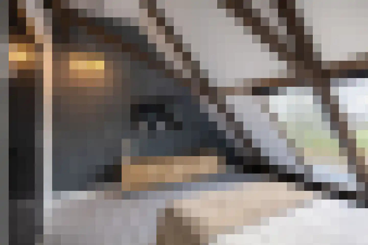 Rijksweg 4 B Herbaijum thumbnail 42