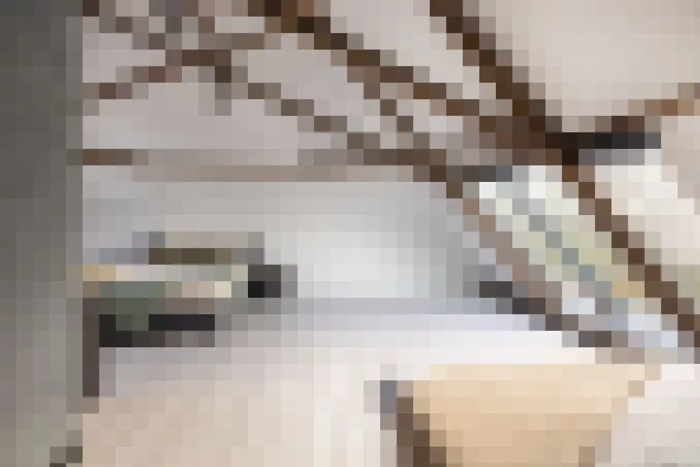 Rijksweg 4 B Herbaijum thumbnail 44
