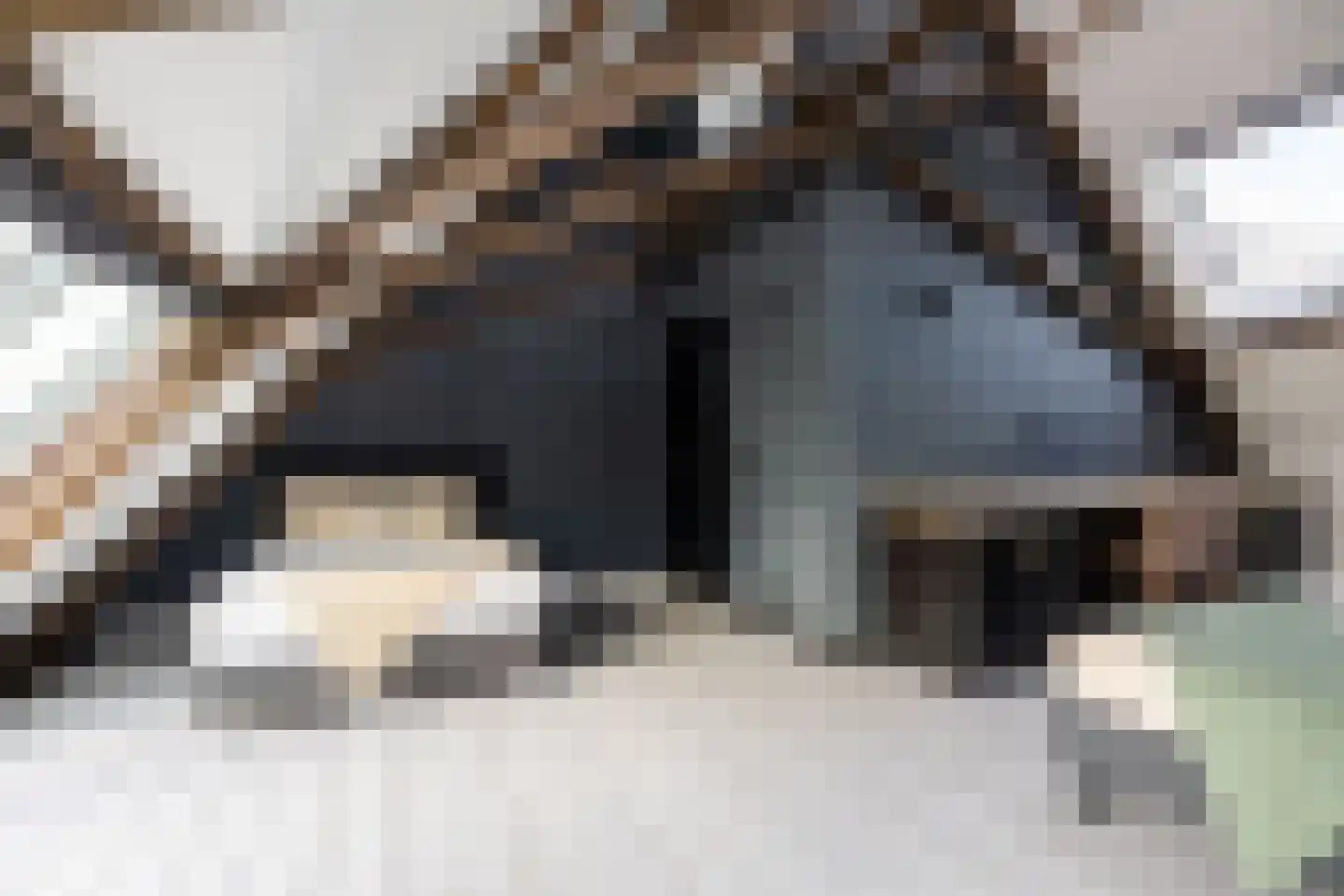 Rijksweg 4 B Herbaijum thumbnail 45