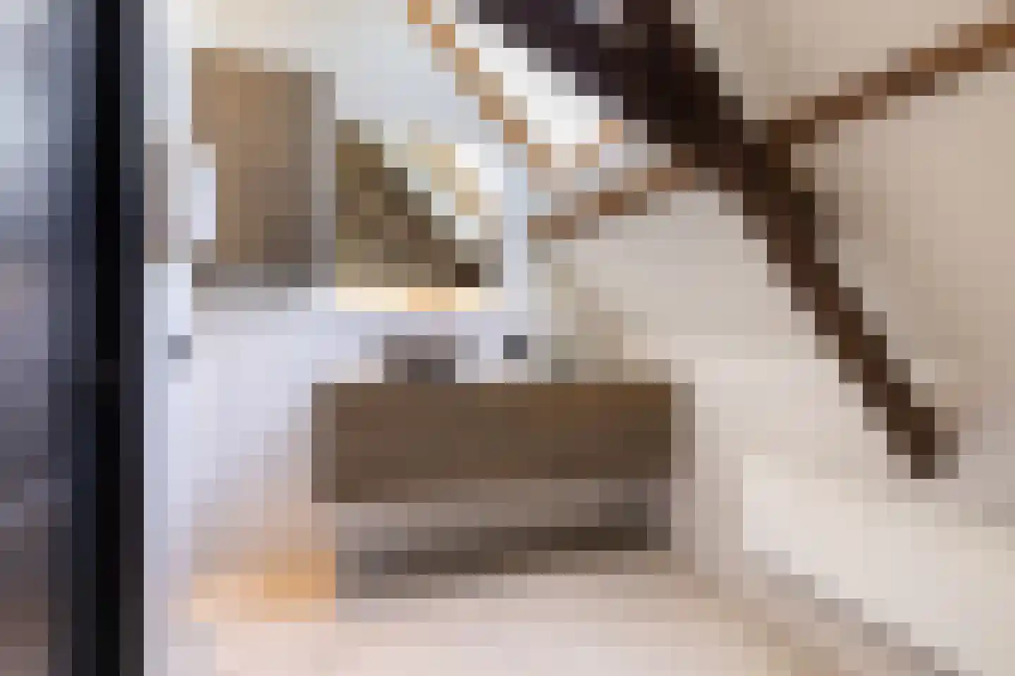 Rijksweg 4 B Herbaijum thumbnail 47