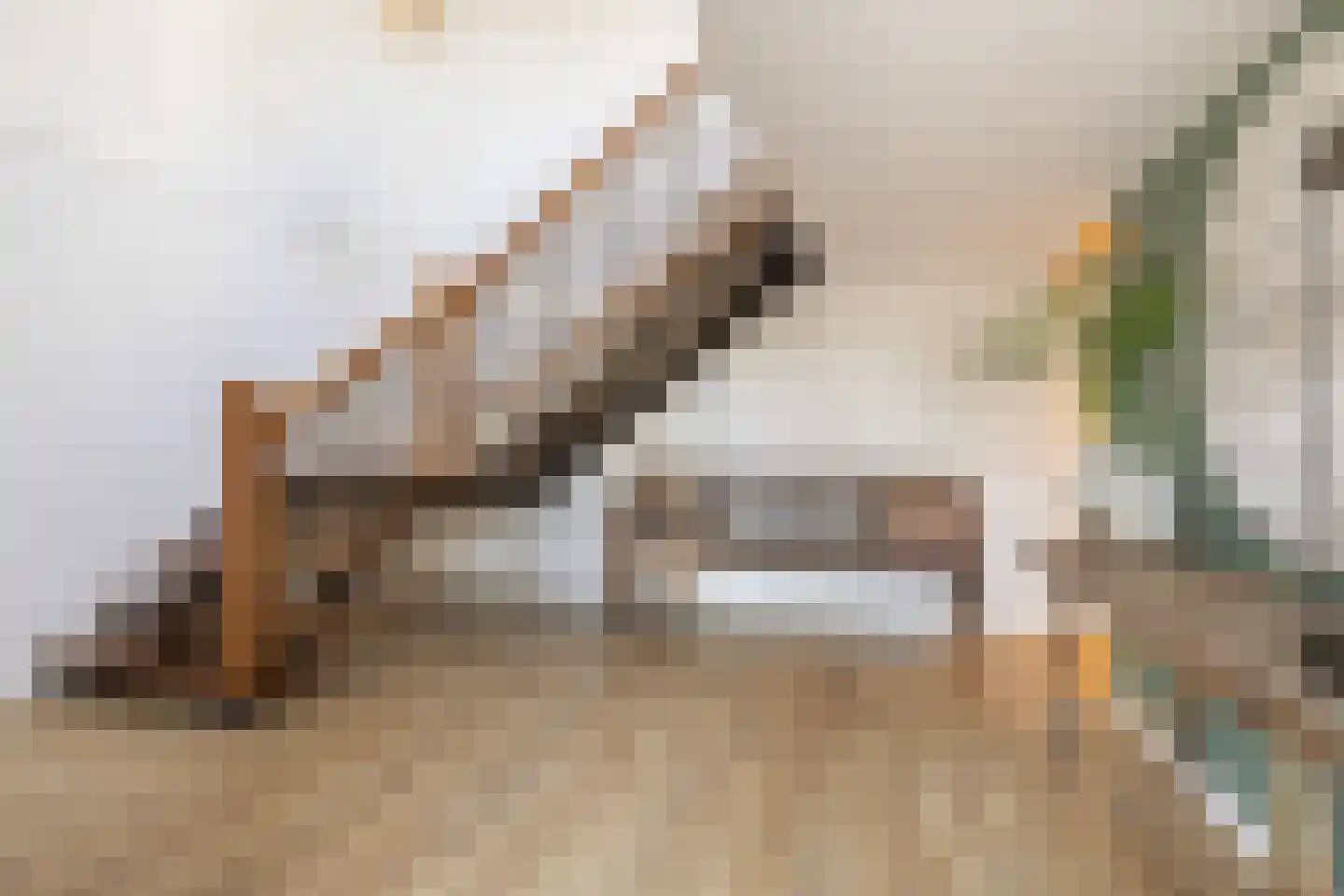 Rijksweg 4 B Herbaijum thumbnail 5