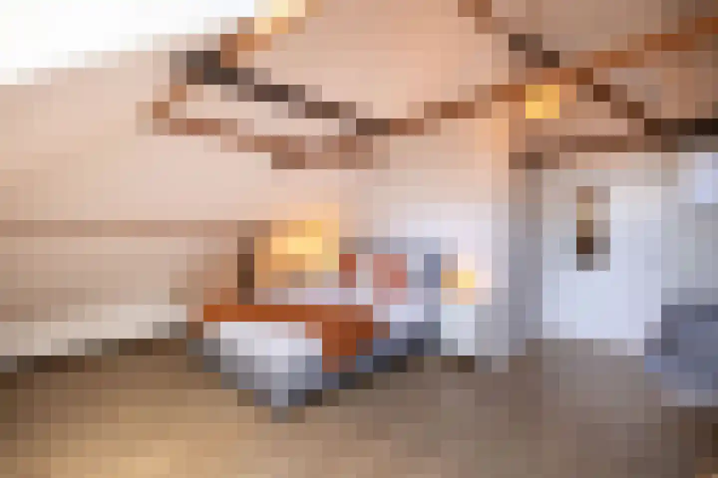 Rijksweg 4 B Herbaijum thumbnail 51
