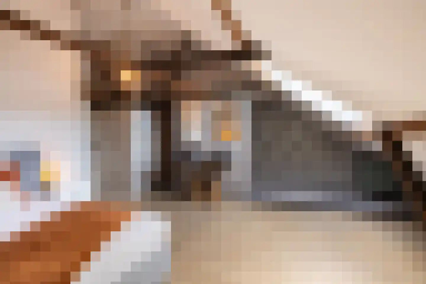 Rijksweg 4 B Herbaijum thumbnail 52