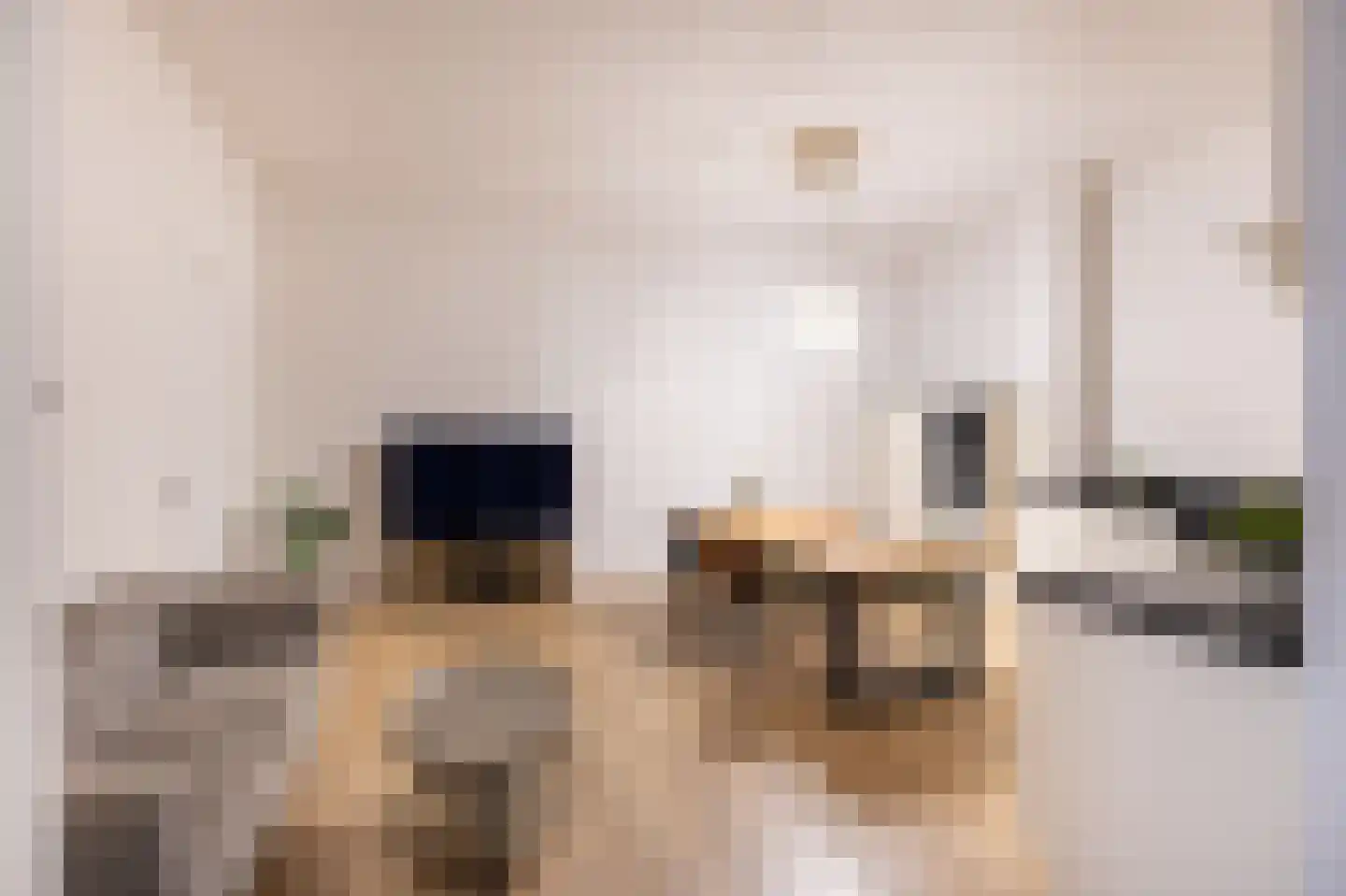 Rijksweg 4 B Herbaijum thumbnail 74