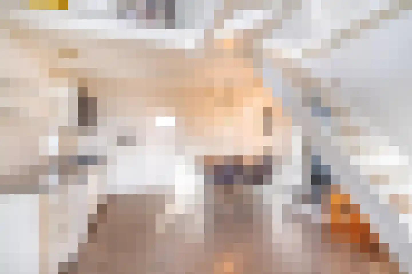 Rijksweg 4 B Herbaijum thumbnail 79