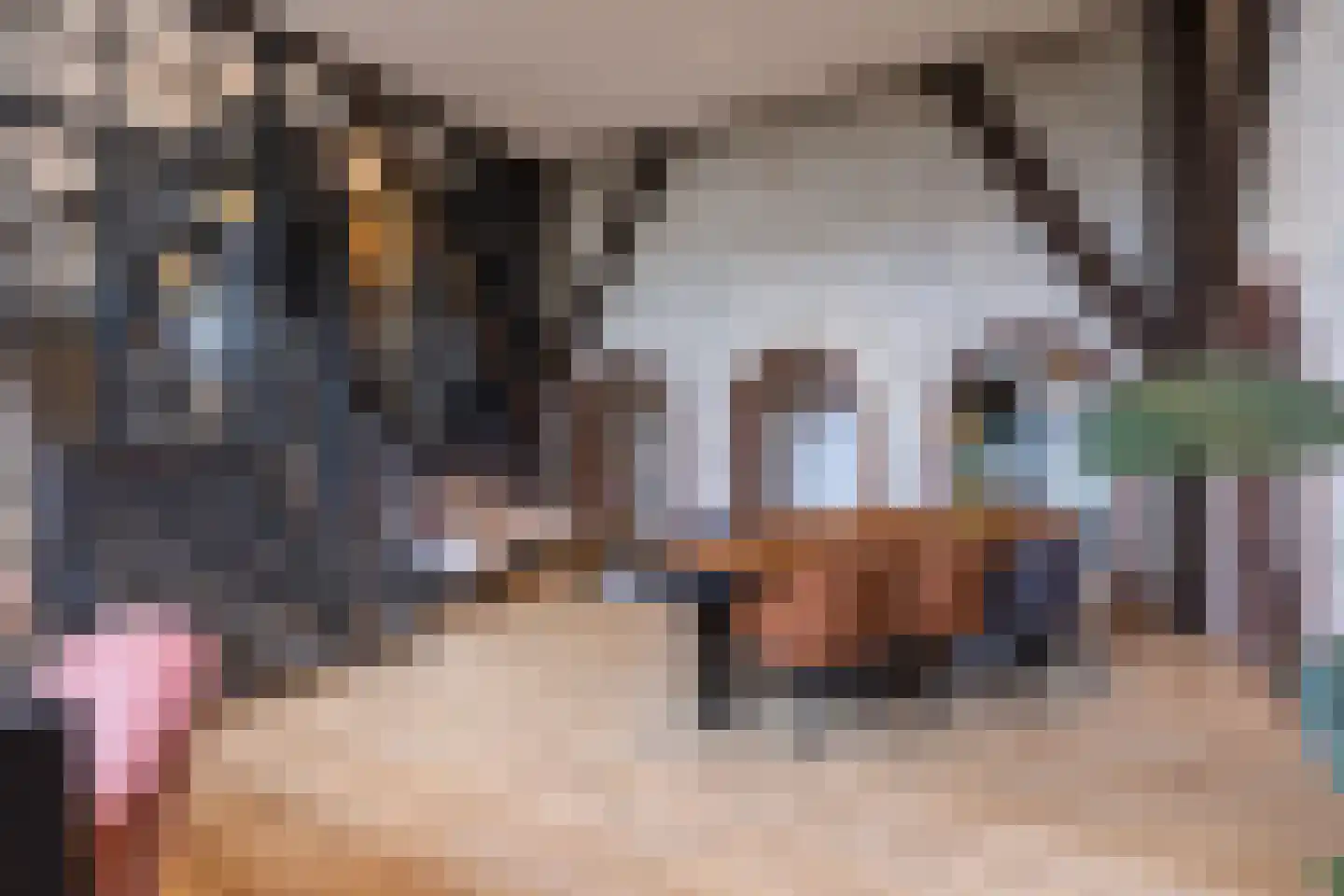 Rijksweg 4 B Herbaijum thumbnail 8
