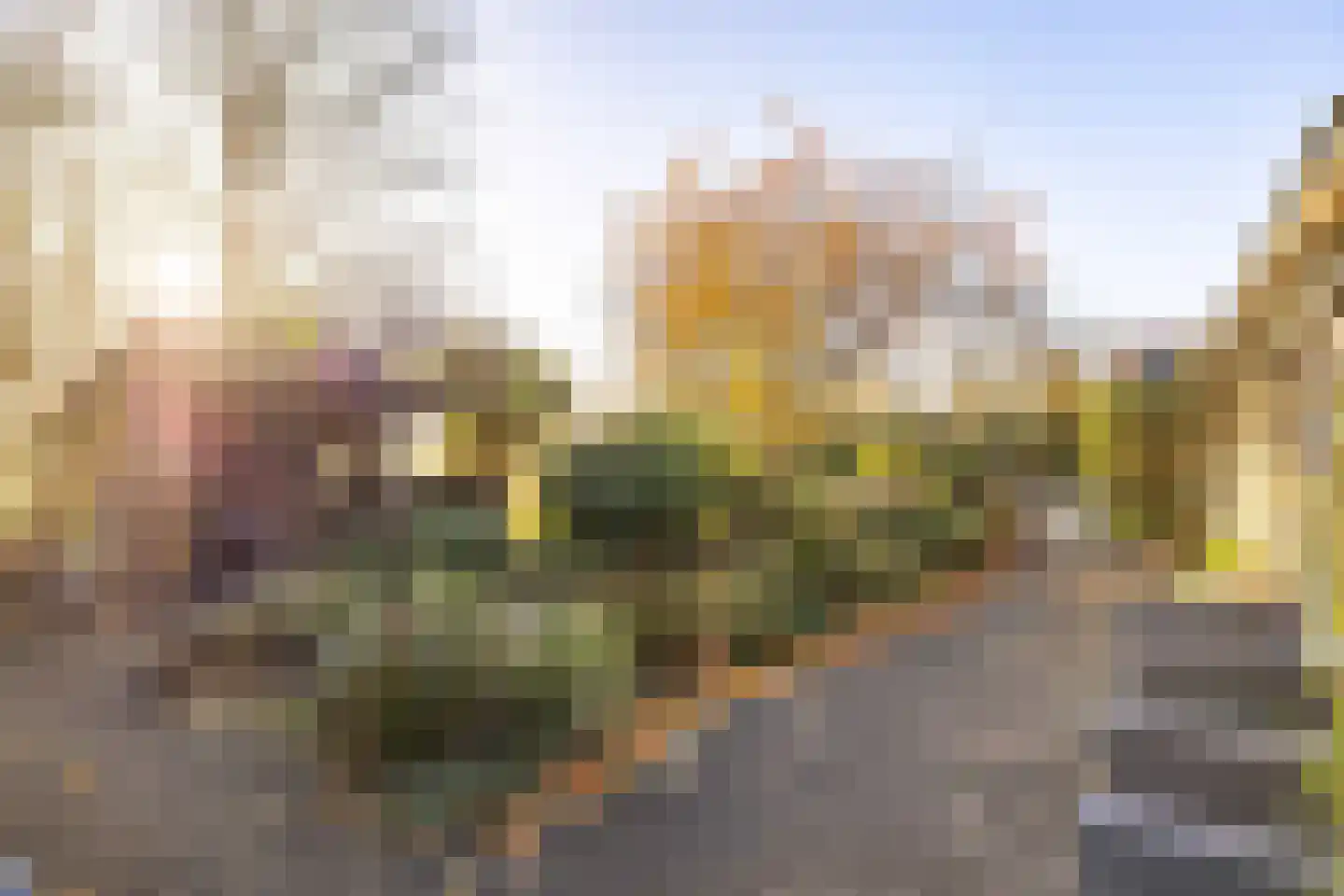 Rijksweg 4 B Herbaijum thumbnail 82