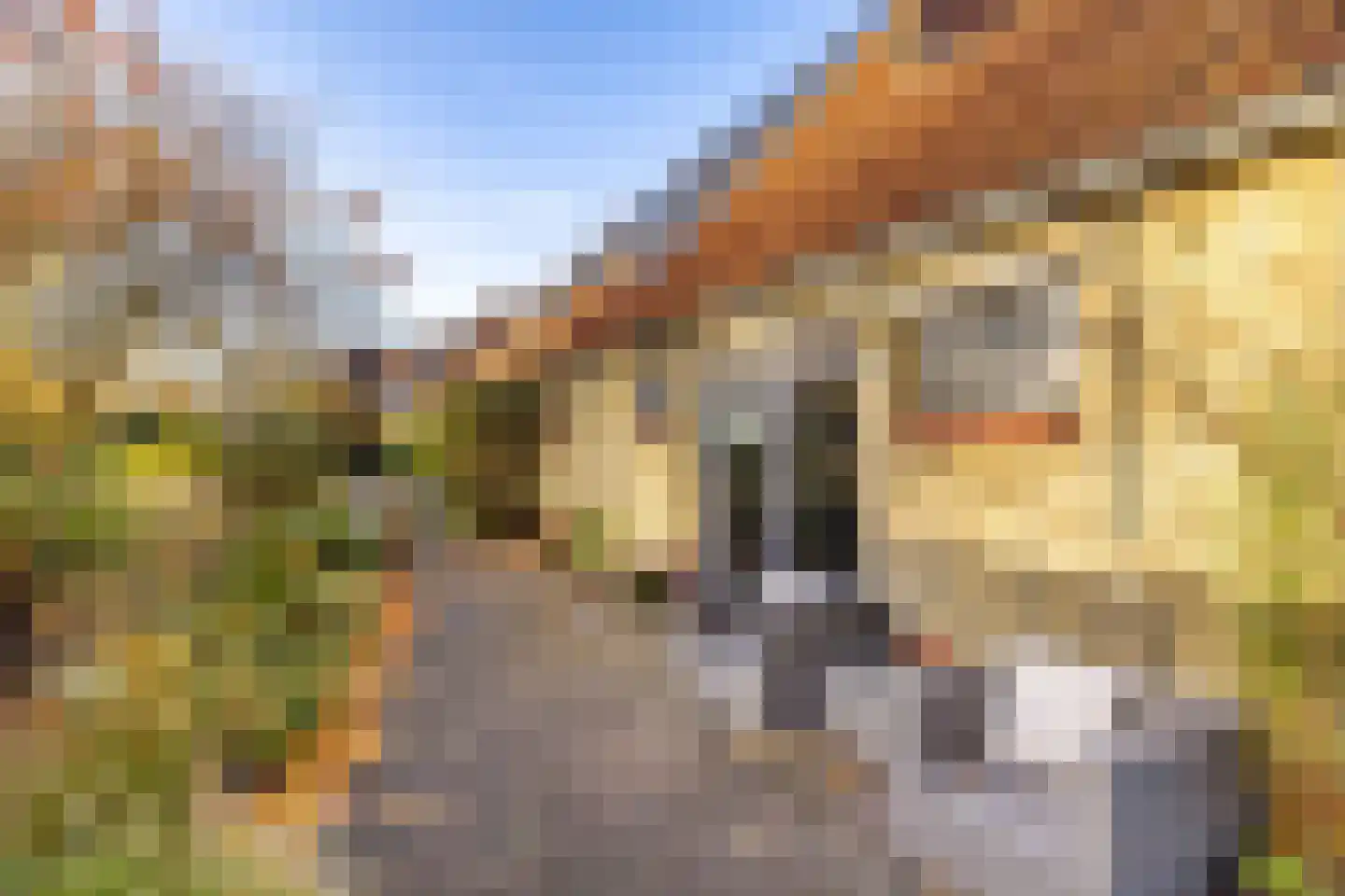 Rijksweg 4 B Herbaijum thumbnail 83