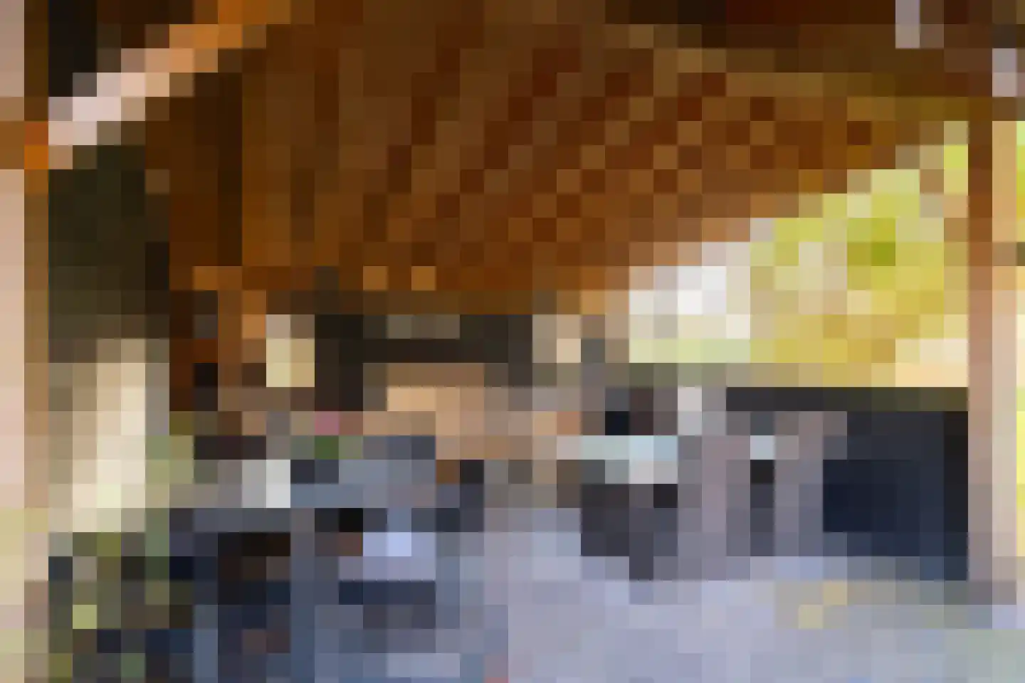 Rijksweg 4 B Herbaijum thumbnail 84