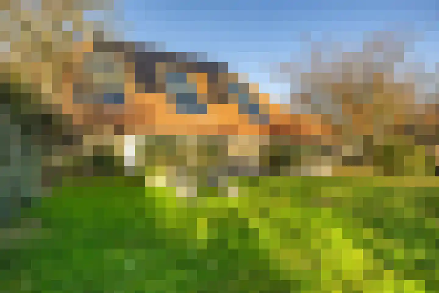 Rijksweg 4 B Herbaijum thumbnail 86