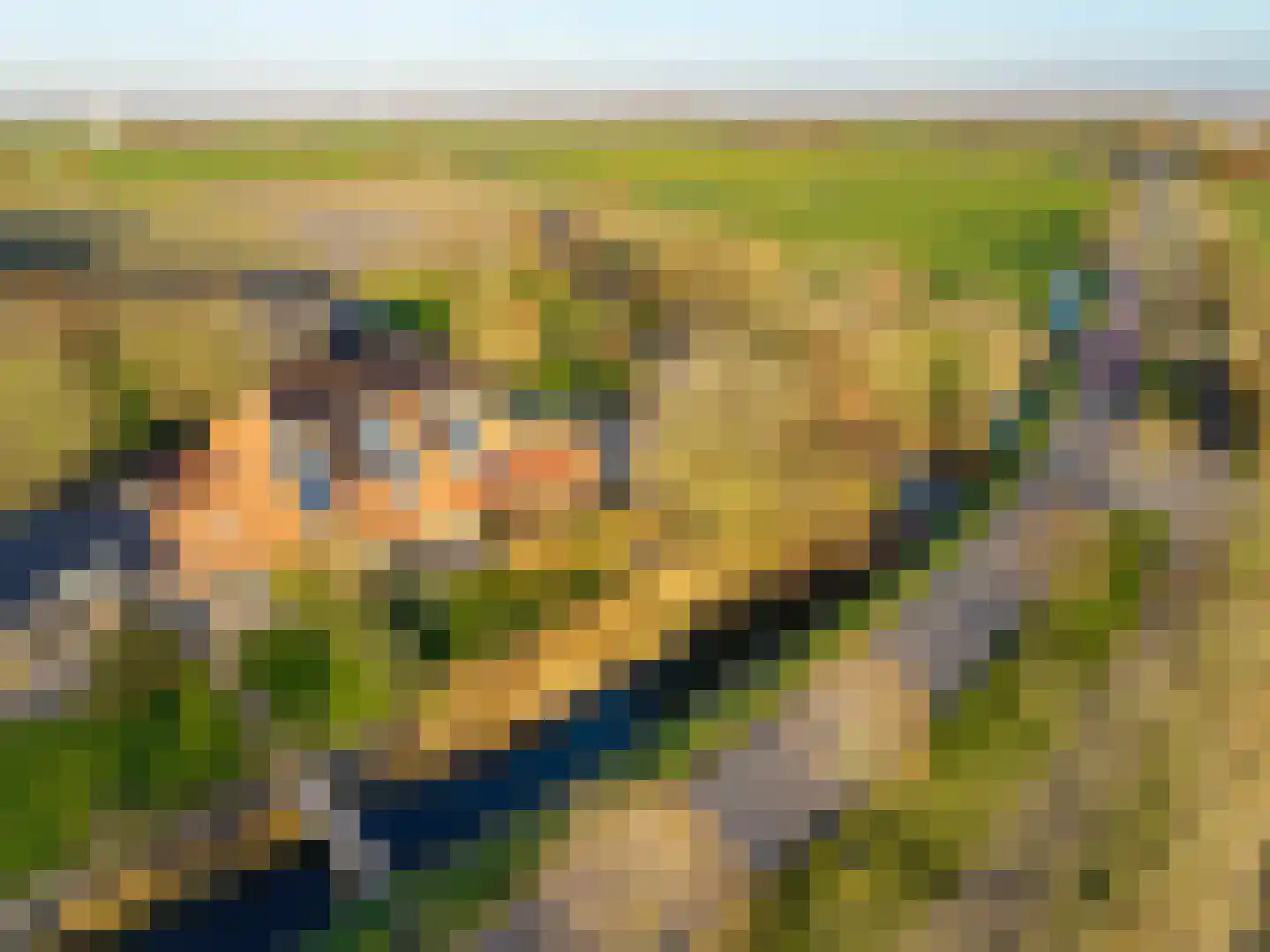 Rijksweg 4 B Herbaijum thumbnail 87