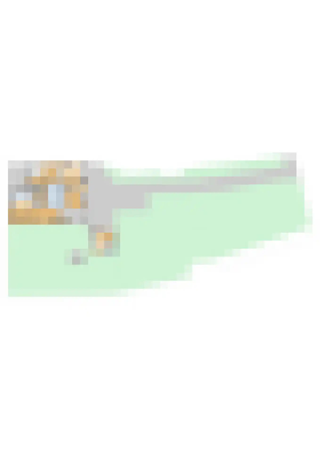 Rijksweg 4 B Herbaijum thumbnail 88