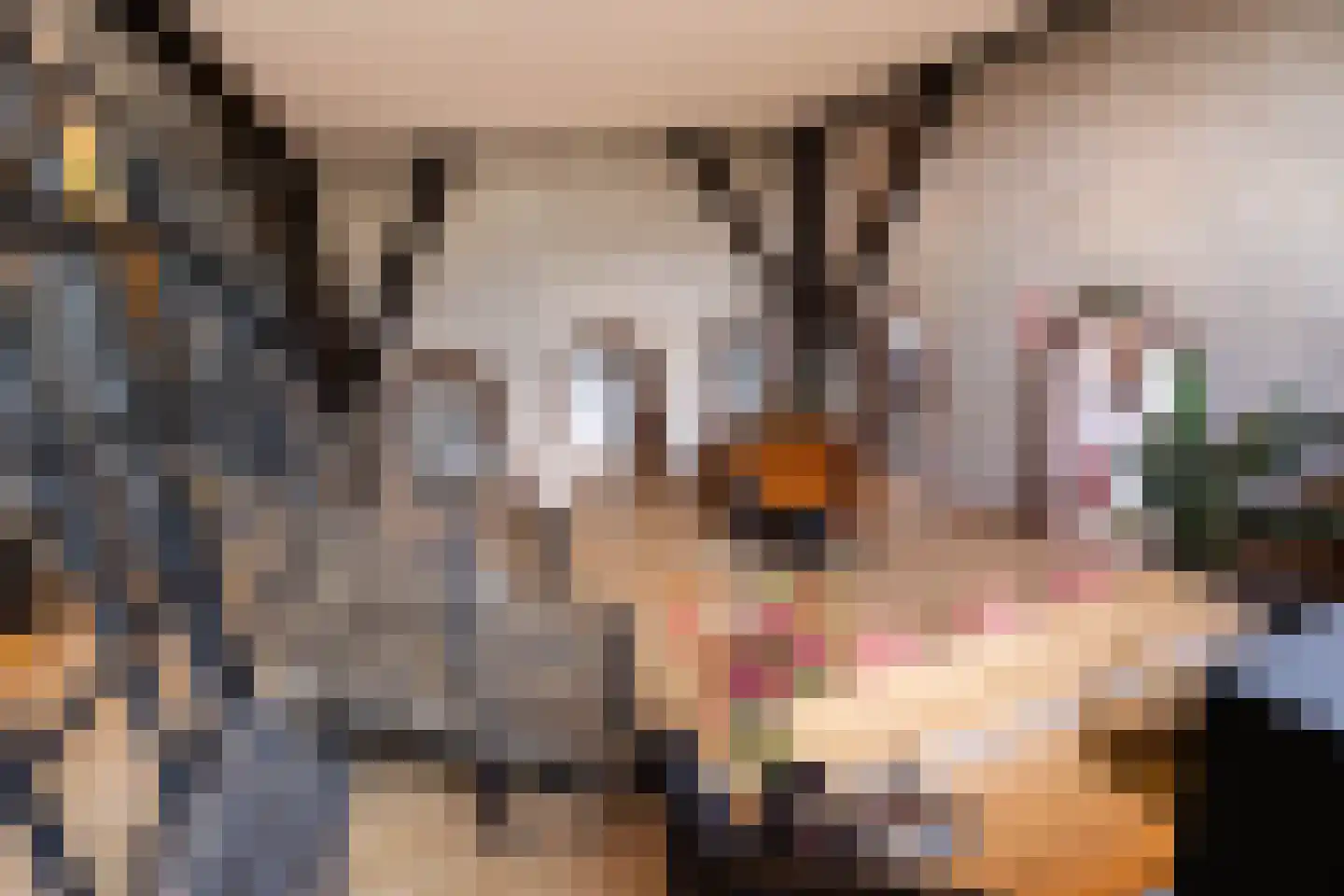 Rijksweg 4 B Herbaijum thumbnail 9