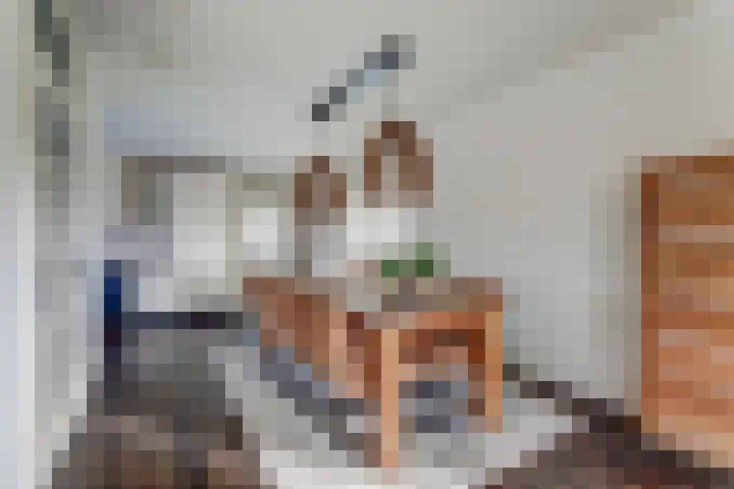 Rijksweg 40 Herbaijum thumbnail 14