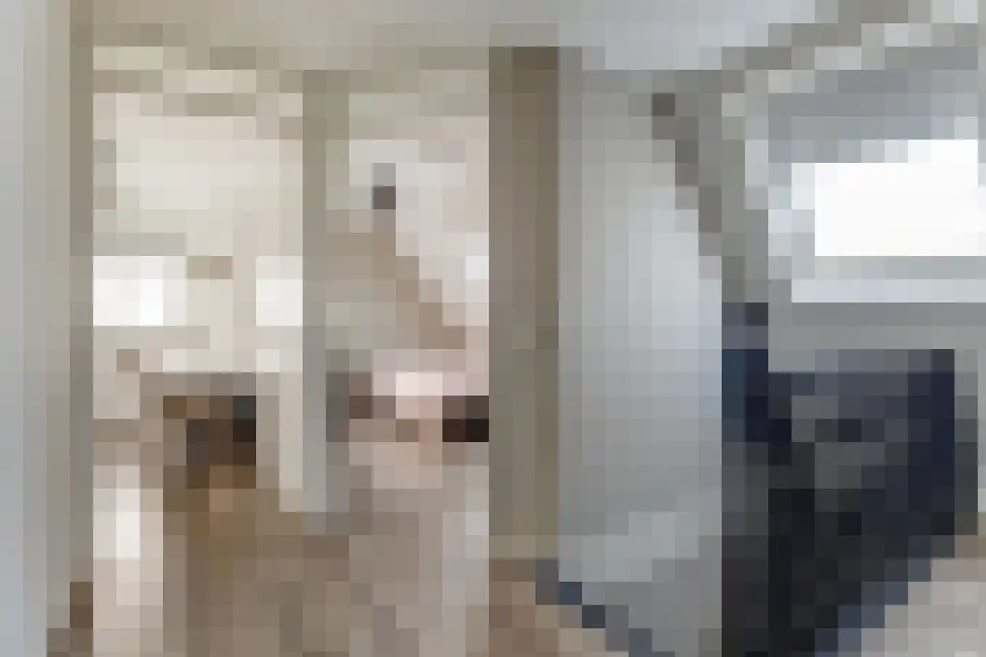 Rijksweg 40 Herbaijum thumbnail 18