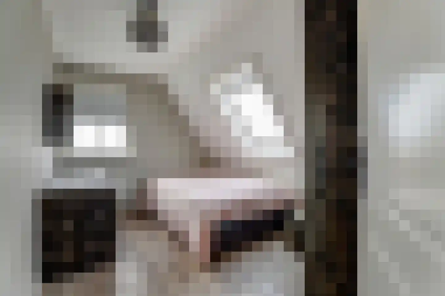 Rijksweg 40 Herbaijum thumbnail 19