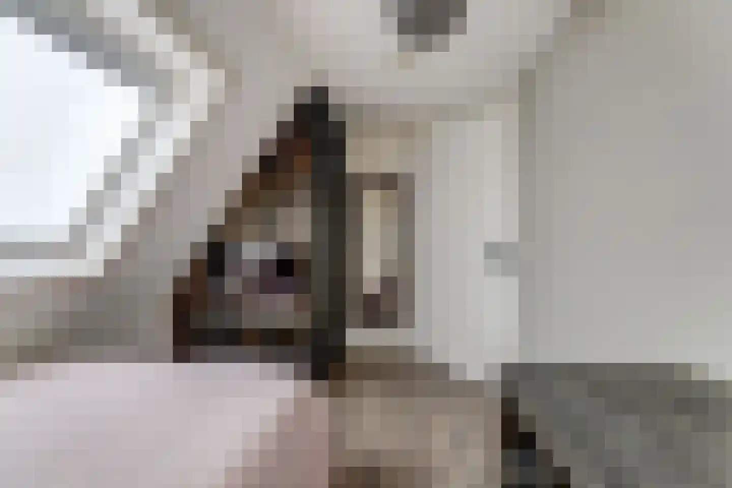 Rijksweg 40 Herbaijum thumbnail 20