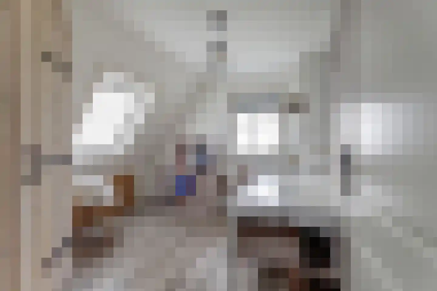 Rijksweg 40 Herbaijum thumbnail 21