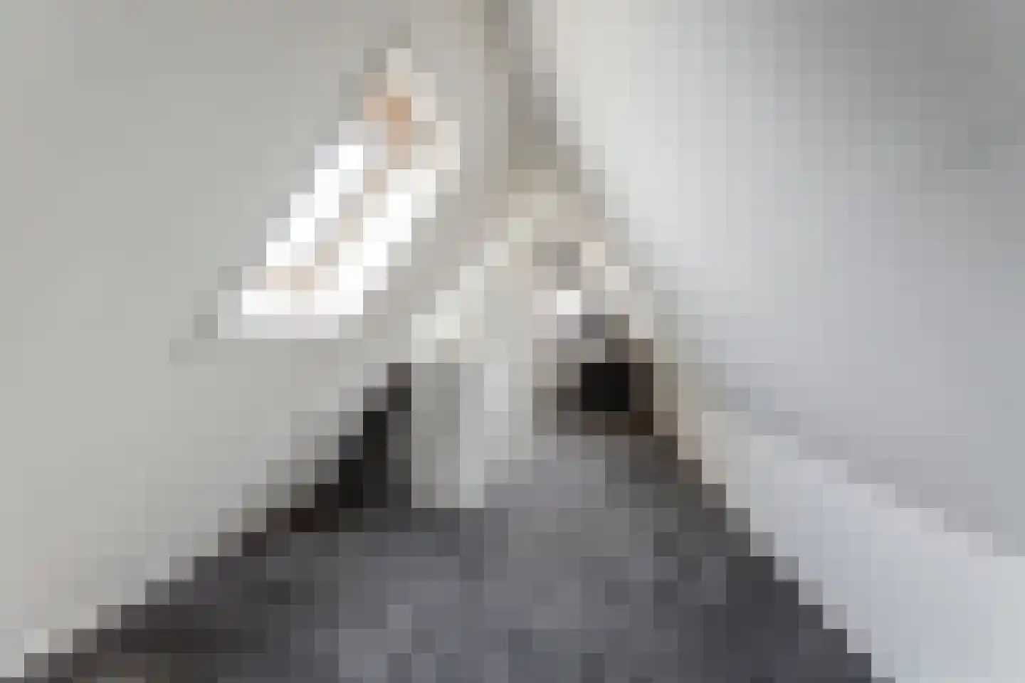 Rijksweg 40 Herbaijum thumbnail 26