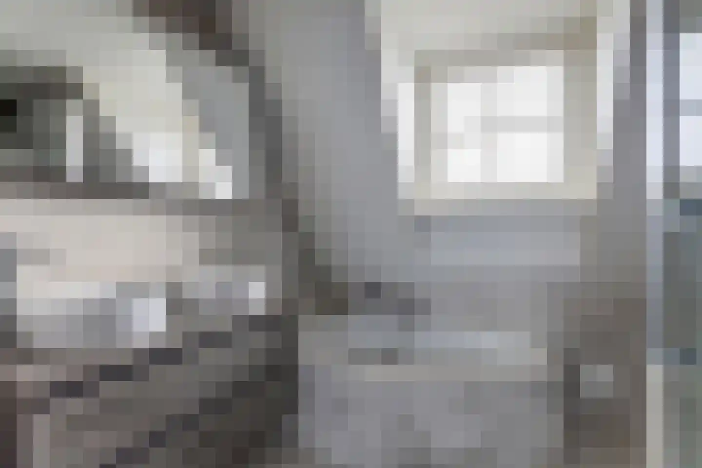 Rijksweg 40 Herbaijum thumbnail 27