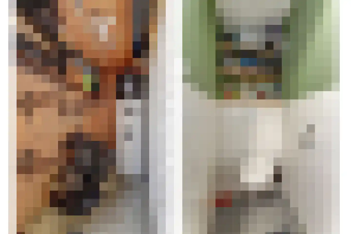 Rijksweg 40 Herbaijum thumbnail 29