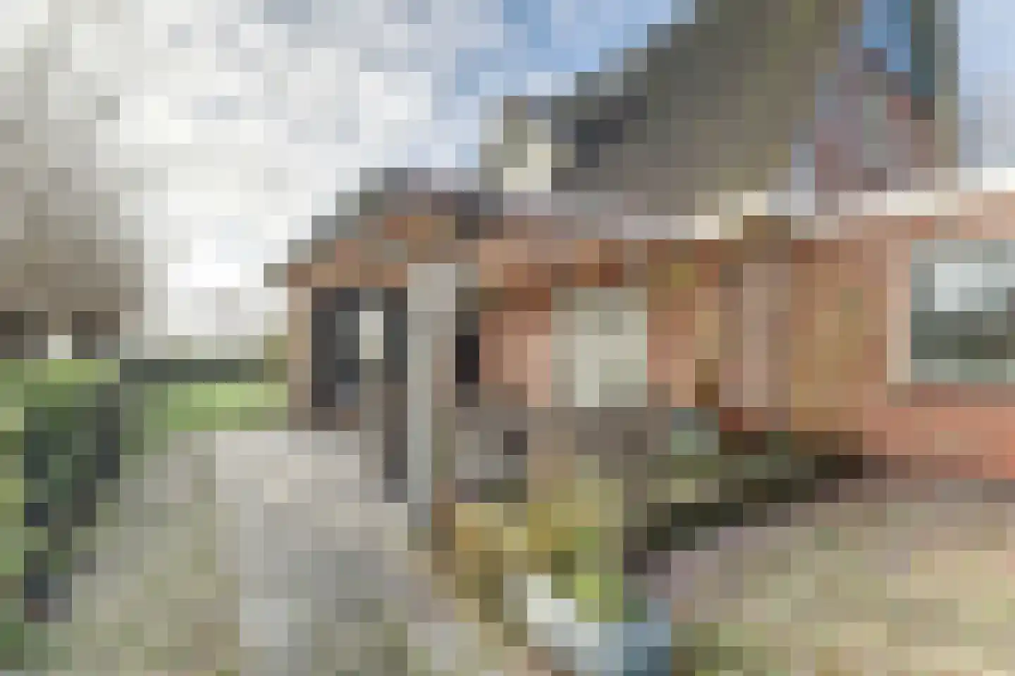 Rijksweg 40 Herbaijum thumbnail 35