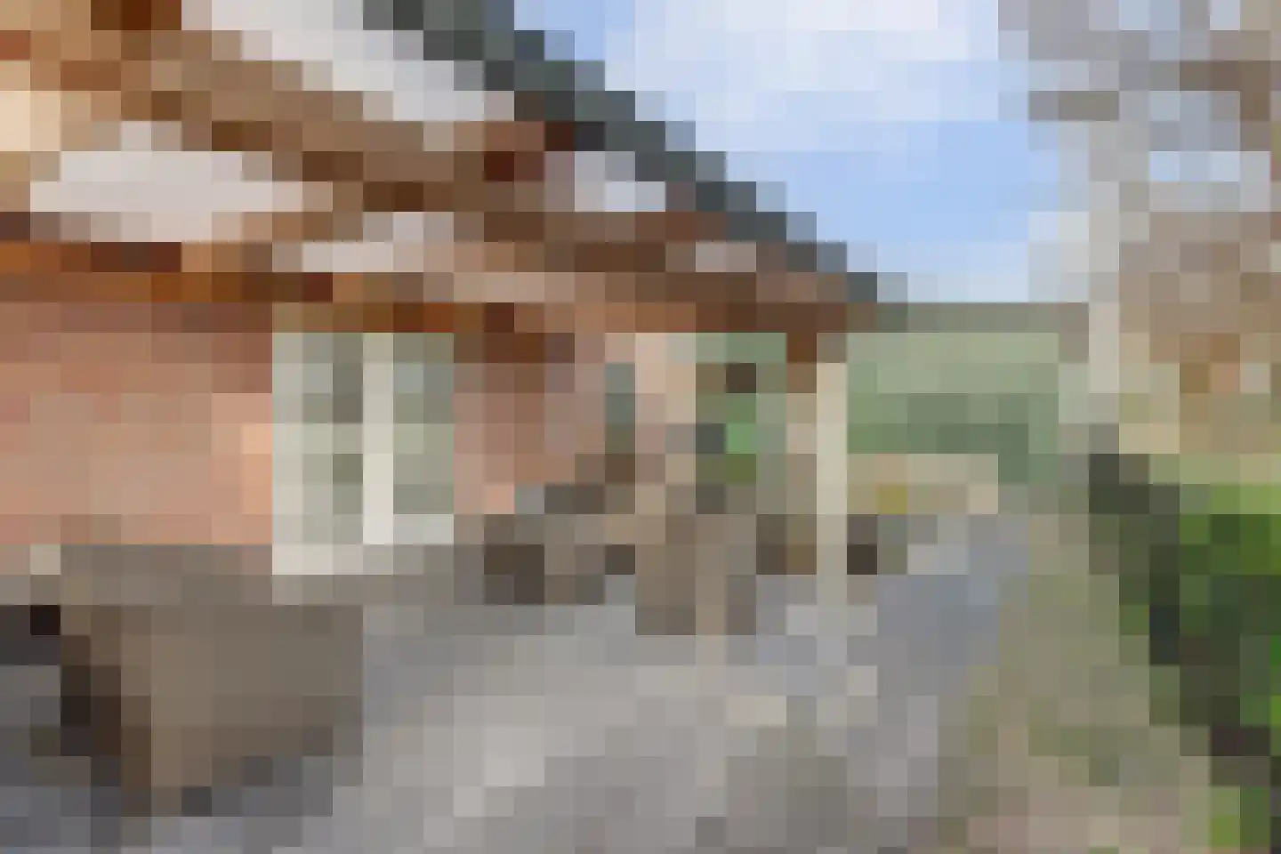 Rijksweg 40 Herbaijum thumbnail 36
