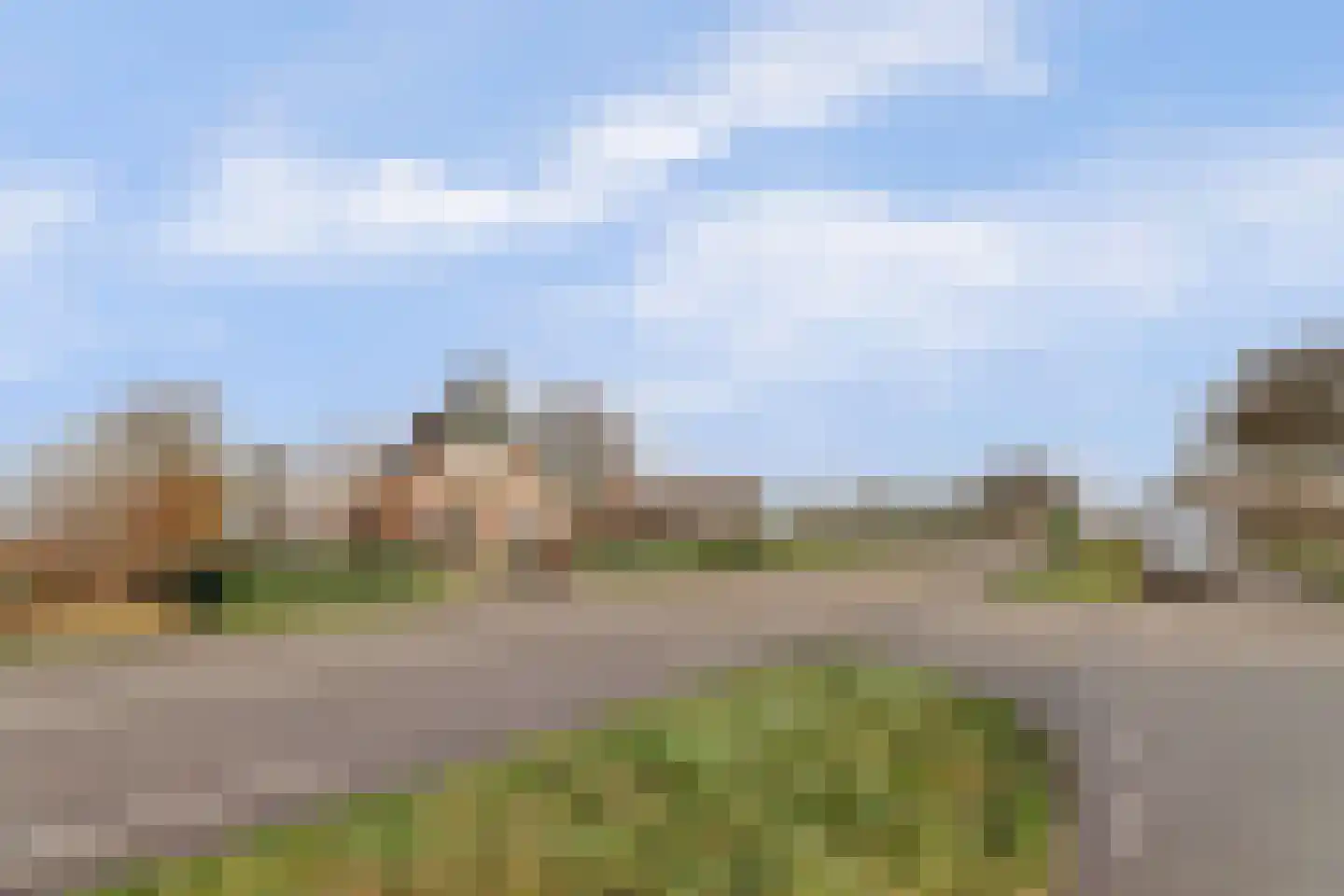 Rijksweg 40 Herbaijum thumbnail 39