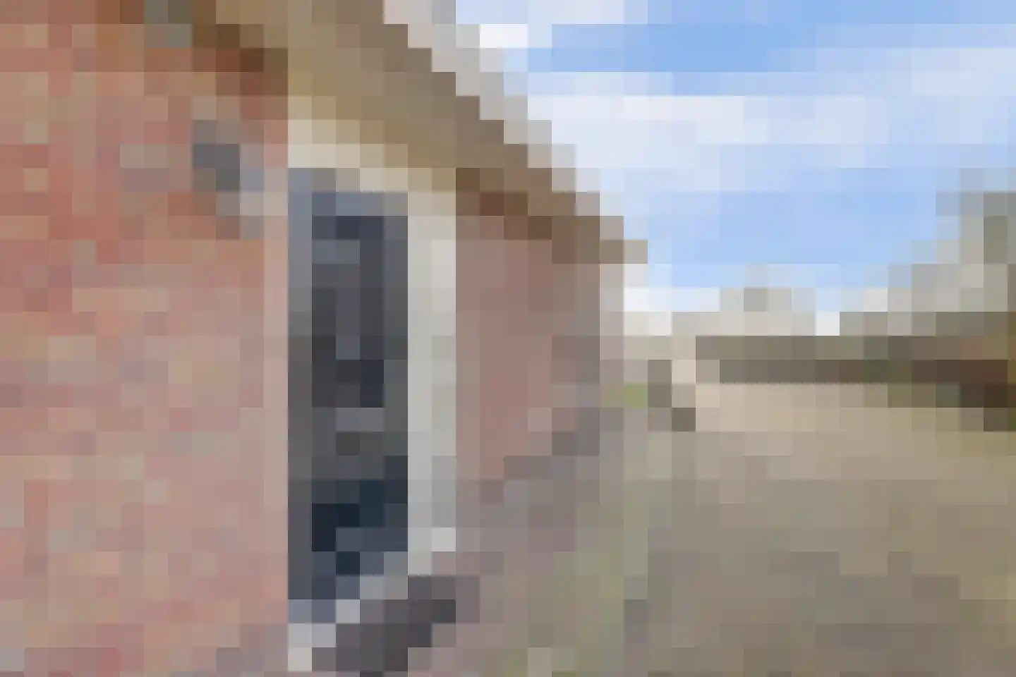 Rijksweg 40 Herbaijum thumbnail 42