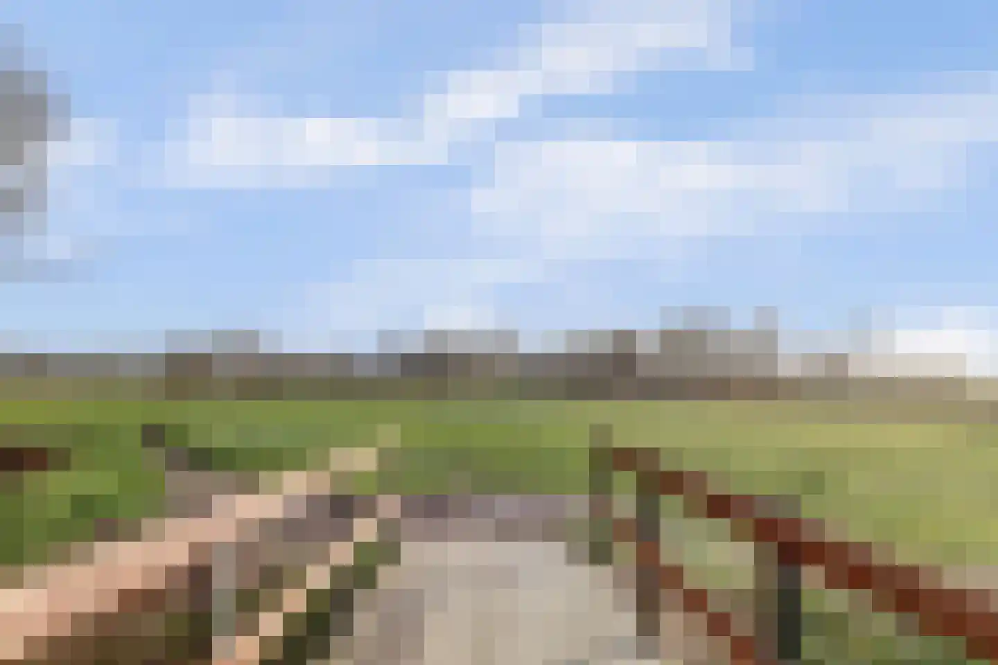 Rijksweg 40 Herbaijum thumbnail 49