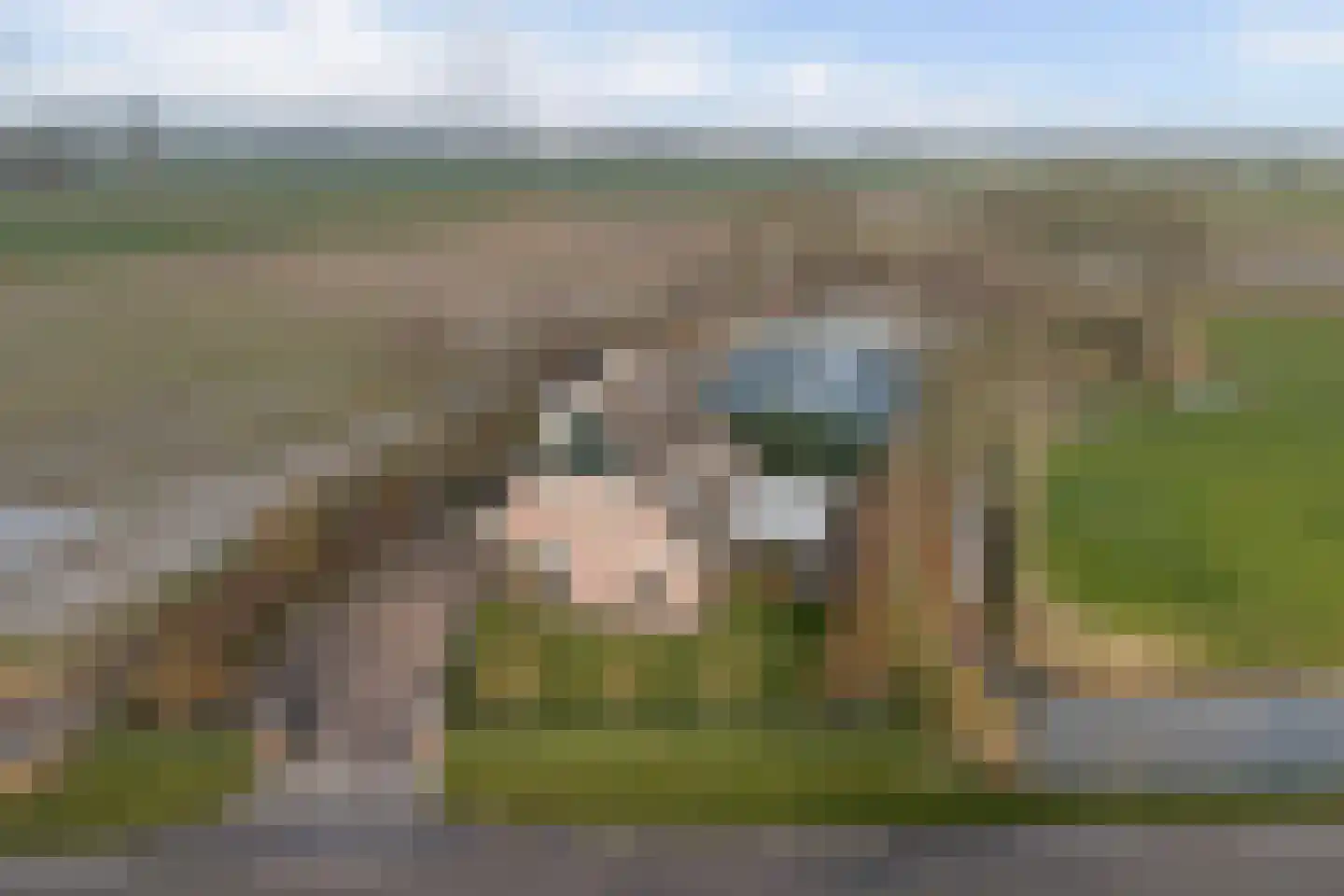 Rijksweg 40 Herbaijum thumbnail 51