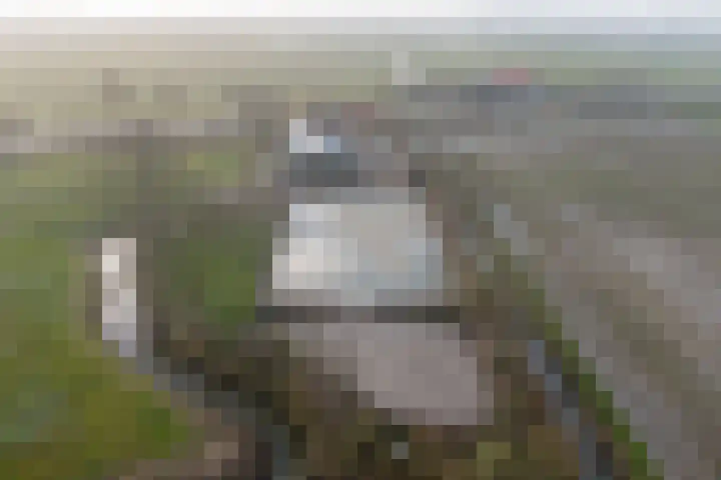Rijksweg 40 Herbaijum thumbnail 53