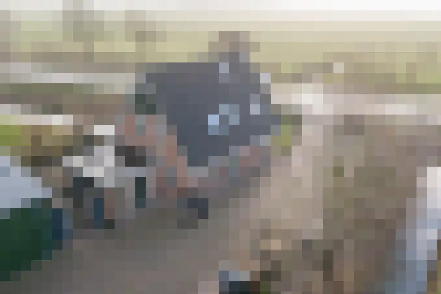Rijksweg 40 Herbaijum thumbnail 54