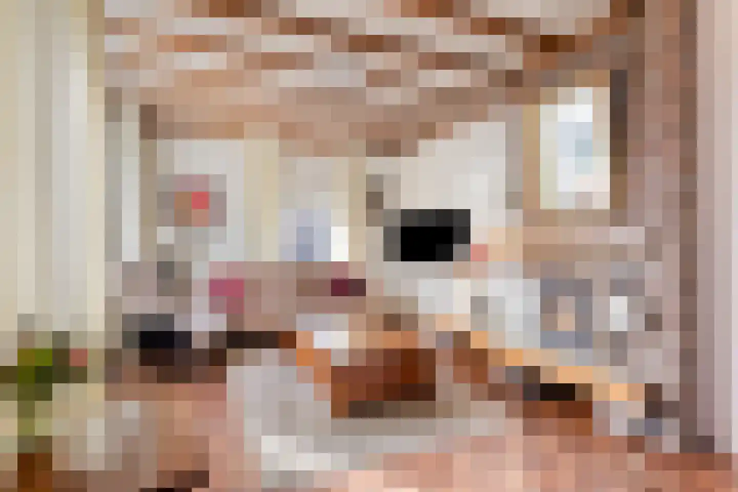 Rijksweg 40 Malden thumbnail 12
