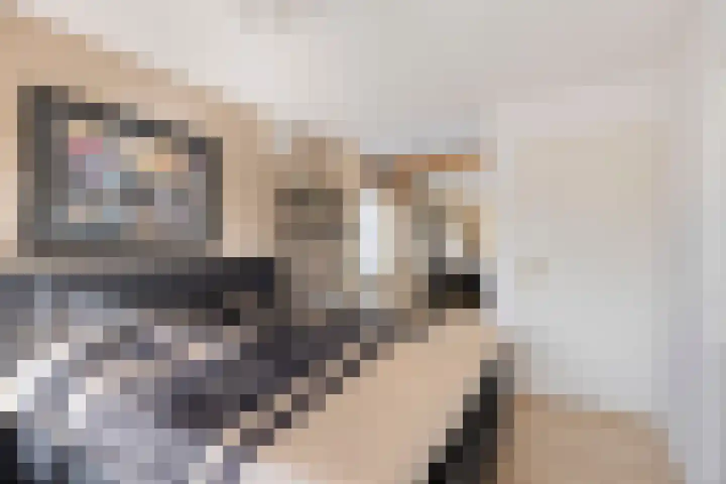 Rijksweg 40 Malden thumbnail 29