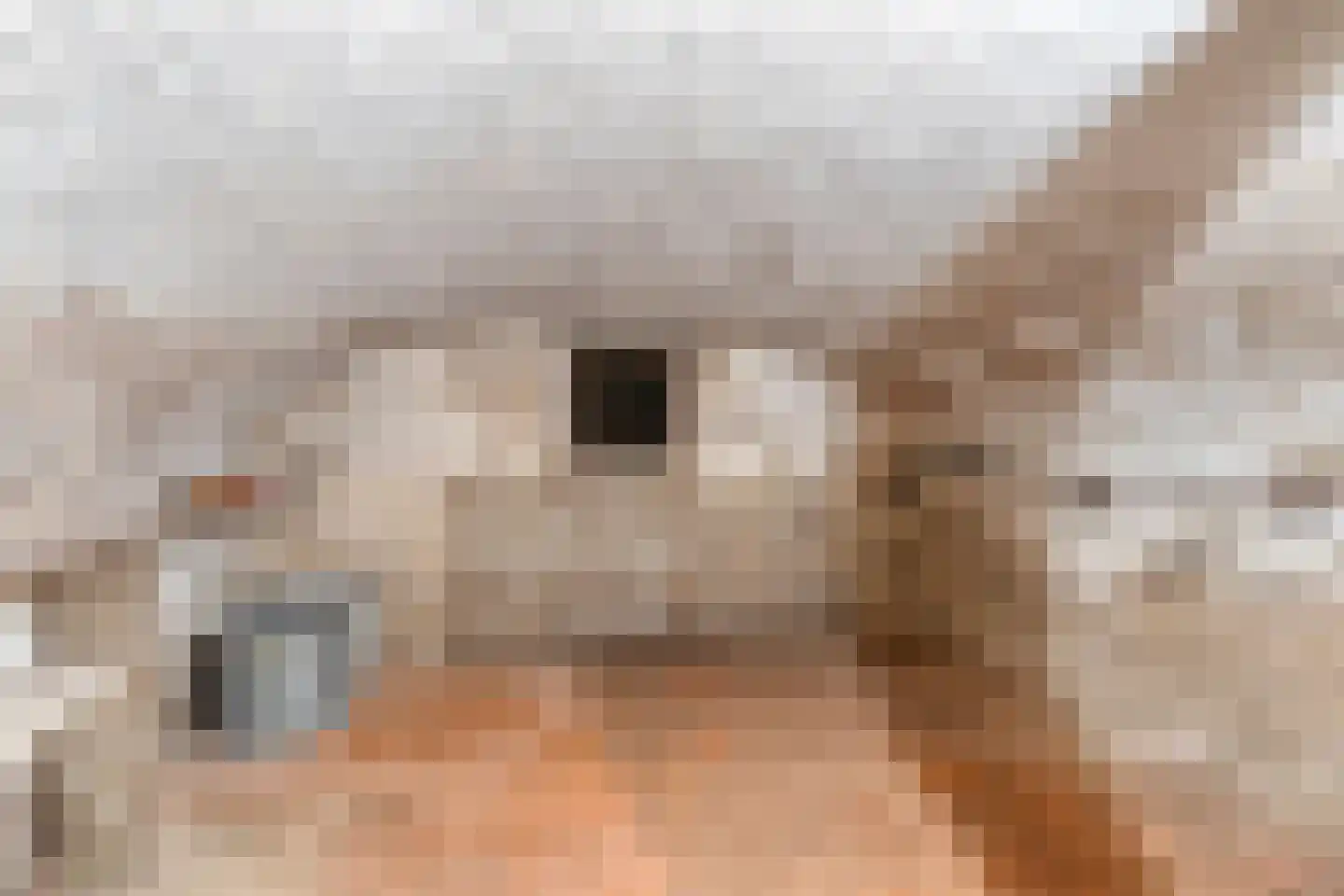 Rijksweg 40 Malden thumbnail 45