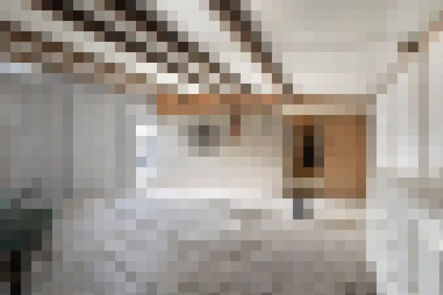 Rijksweg 40 Malden thumbnail 50