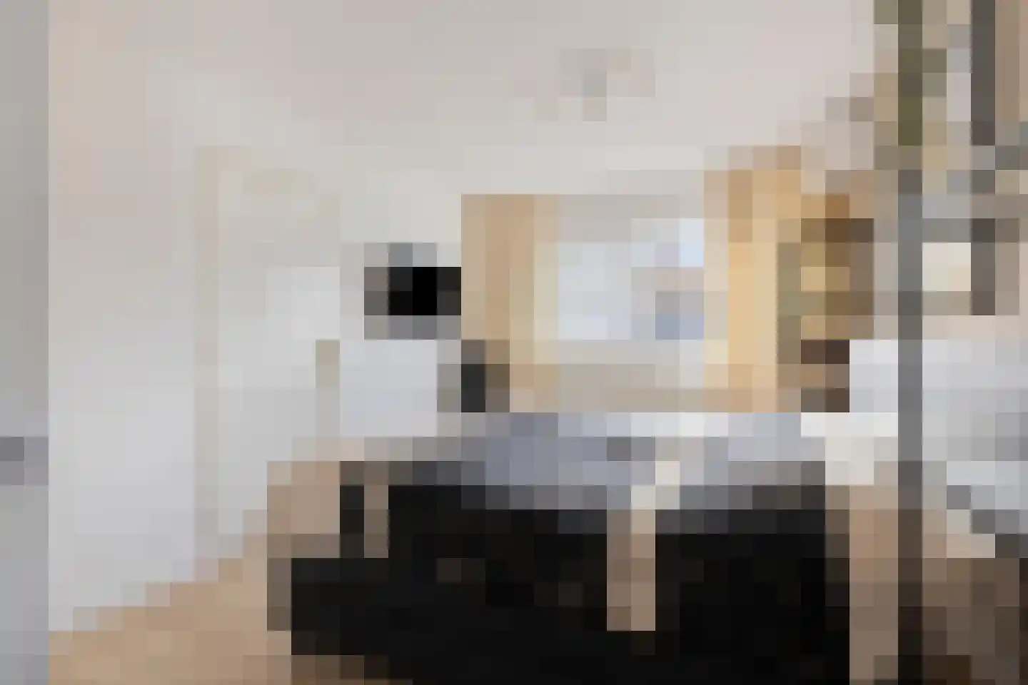 Rijksweg 40 Malden thumbnail 9