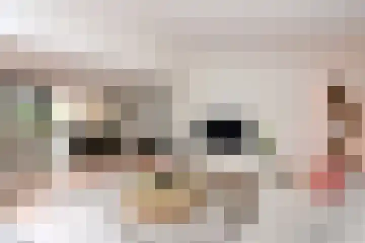 Rijksweg 41 A Naarden thumbnail 11