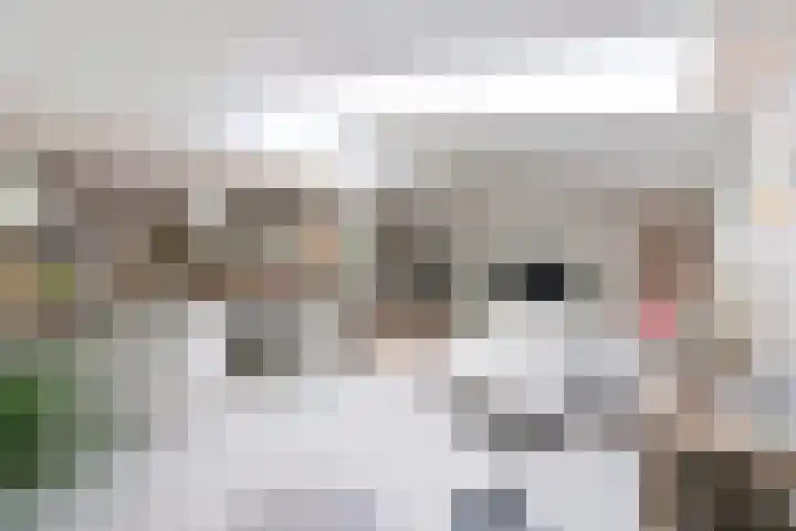 Rijksweg 41 A Naarden thumbnail 14