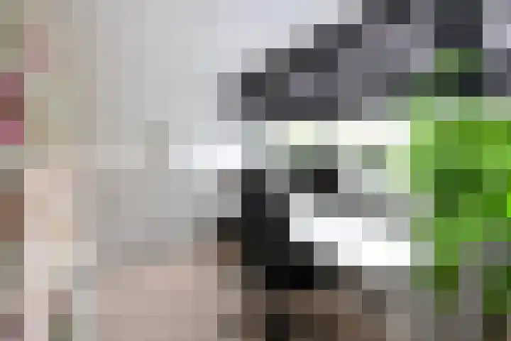 Rijksweg 41 A Naarden thumbnail 33