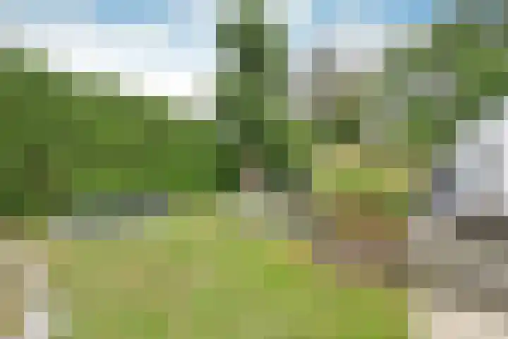 Rijksweg 41 A Naarden thumbnail 39