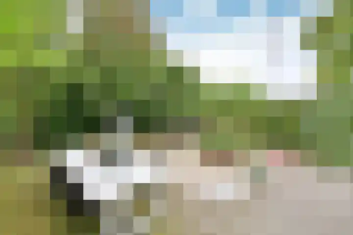Rijksweg 41 A Naarden thumbnail 4