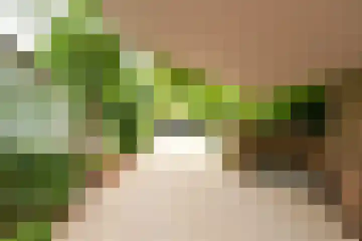Rijksweg 41 A Naarden thumbnail 5