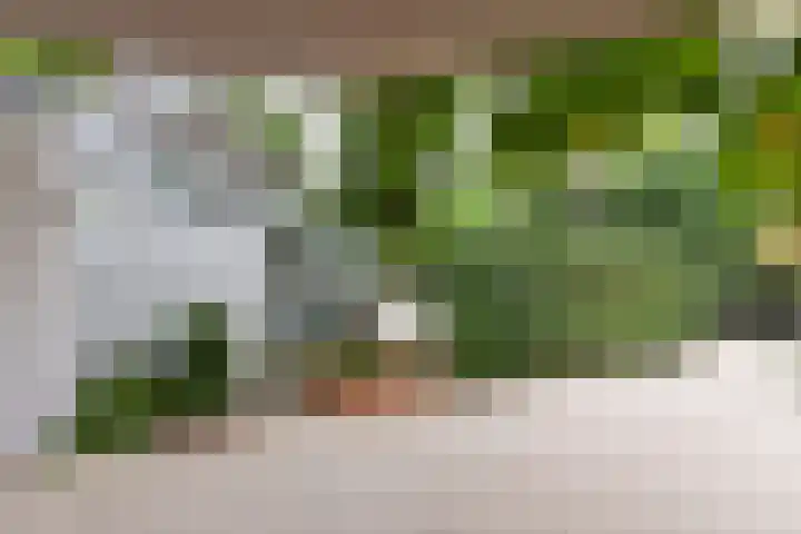 Rijksweg 41 A Naarden thumbnail 7