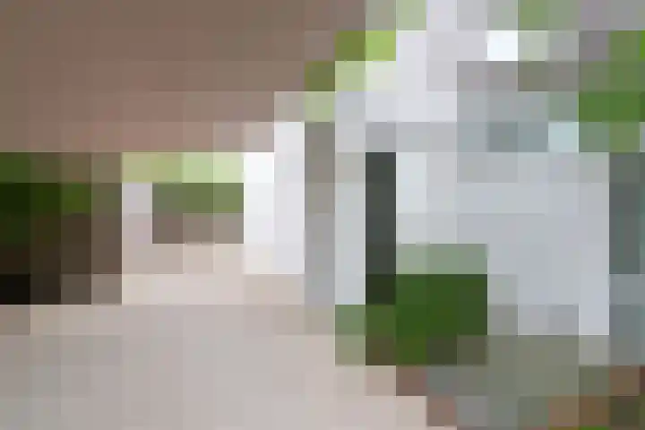 Rijksweg 41 A Naarden thumbnail 8