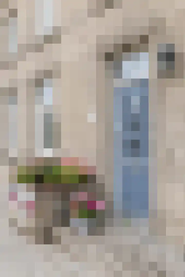 Rijksweg 41 Margraten thumbnail 4