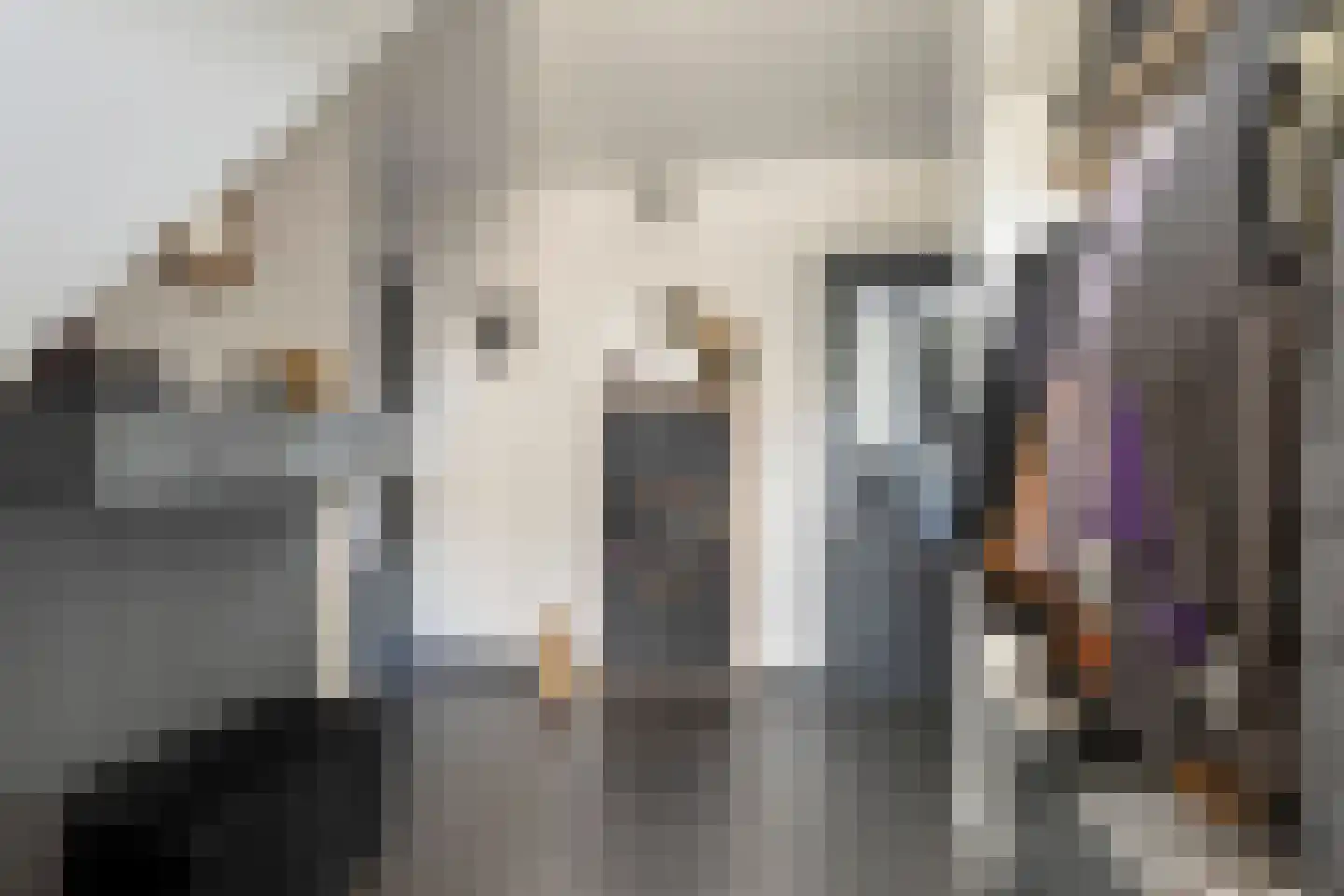 Rijksweg 41 Nieuw-Vossemeer thumbnail 14
