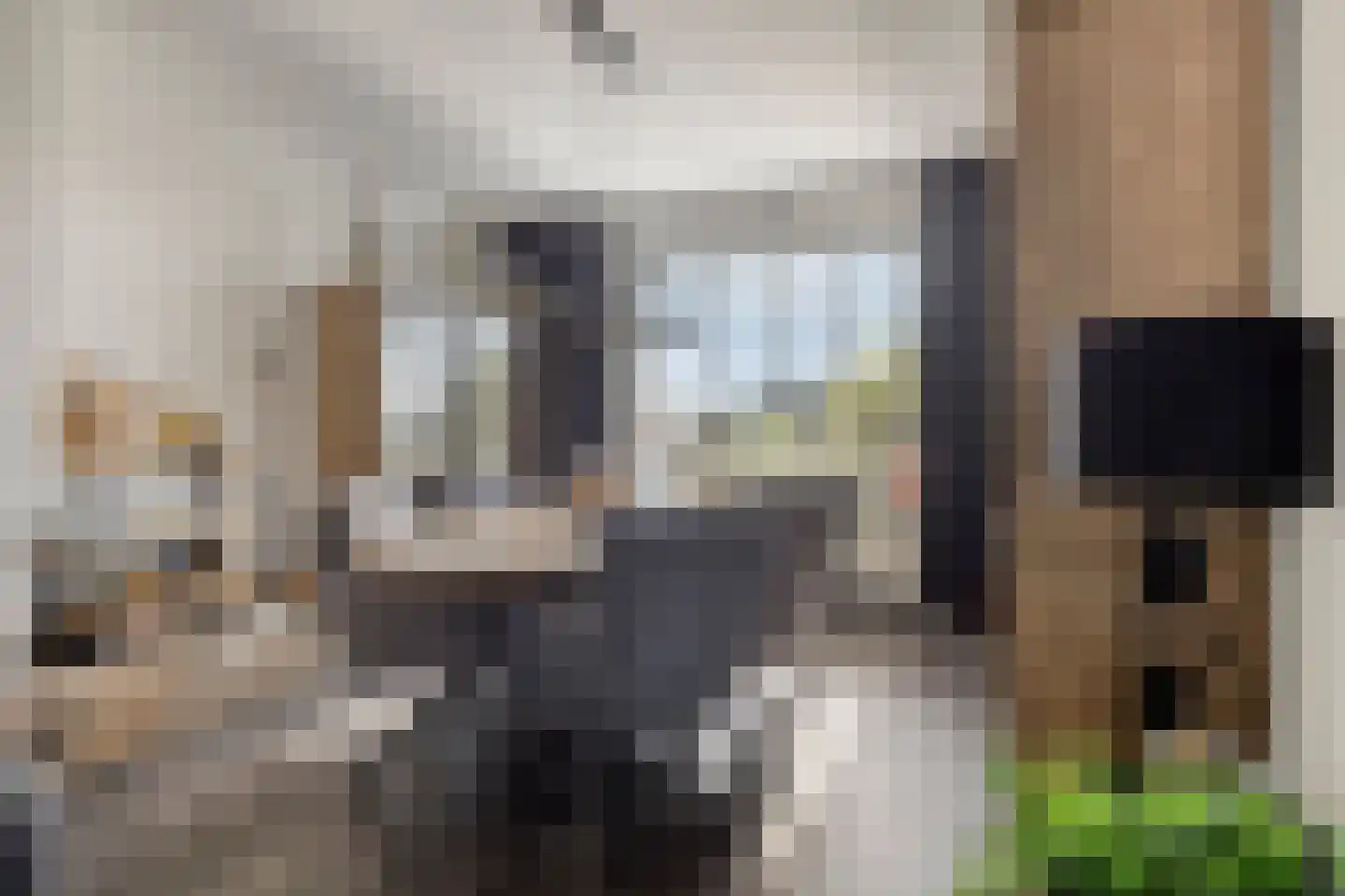 Rijksweg 41 Nieuw-Vossemeer thumbnail 18